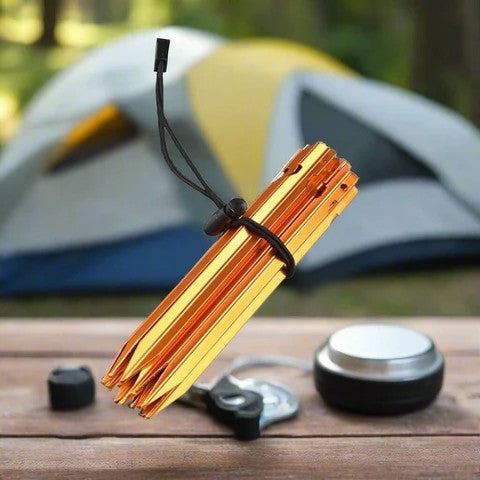 Accessoire_Randonnee_HikeGrip_Noir_et_robuste